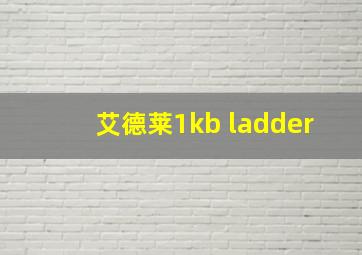 艾德莱1kb ladder